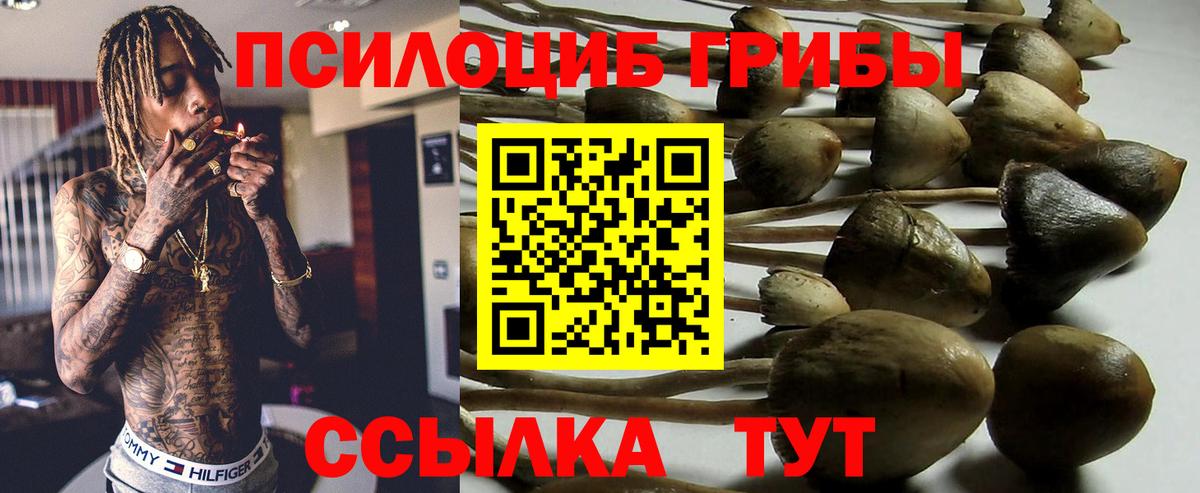 Псилоцибиновые грибы прущие грибы Карталы