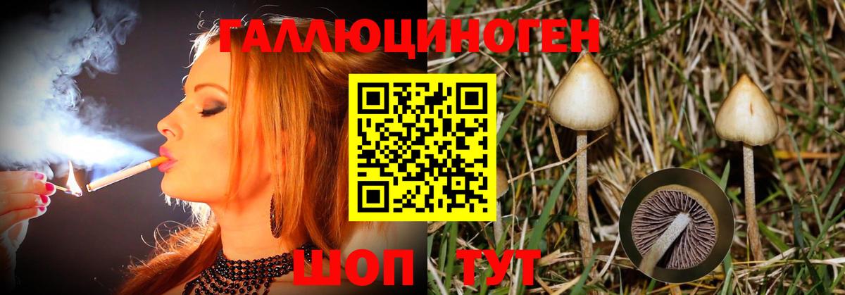 Псилоцибиновые грибы Magic Shrooms  Вход с VPN  Карталы 